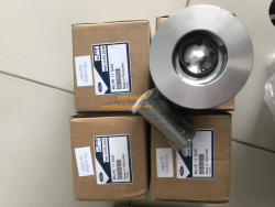 Piston Ford Range 2010, Everest 2010 TDCI (cot 0)